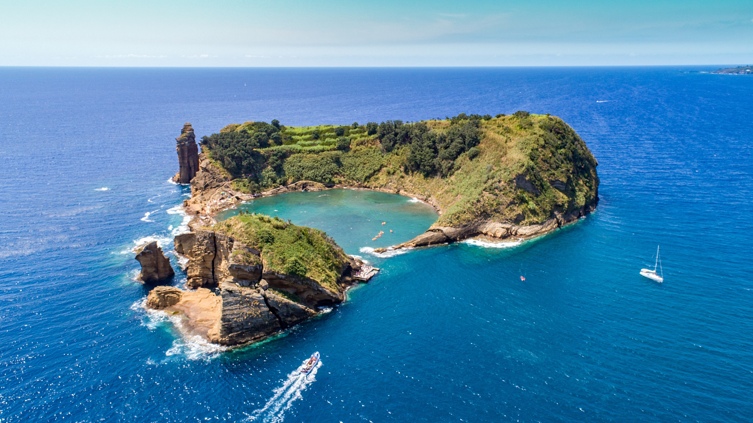 Observação de baleias e golfinhos: Meio Dia & Ilhéu de Vila Franca 