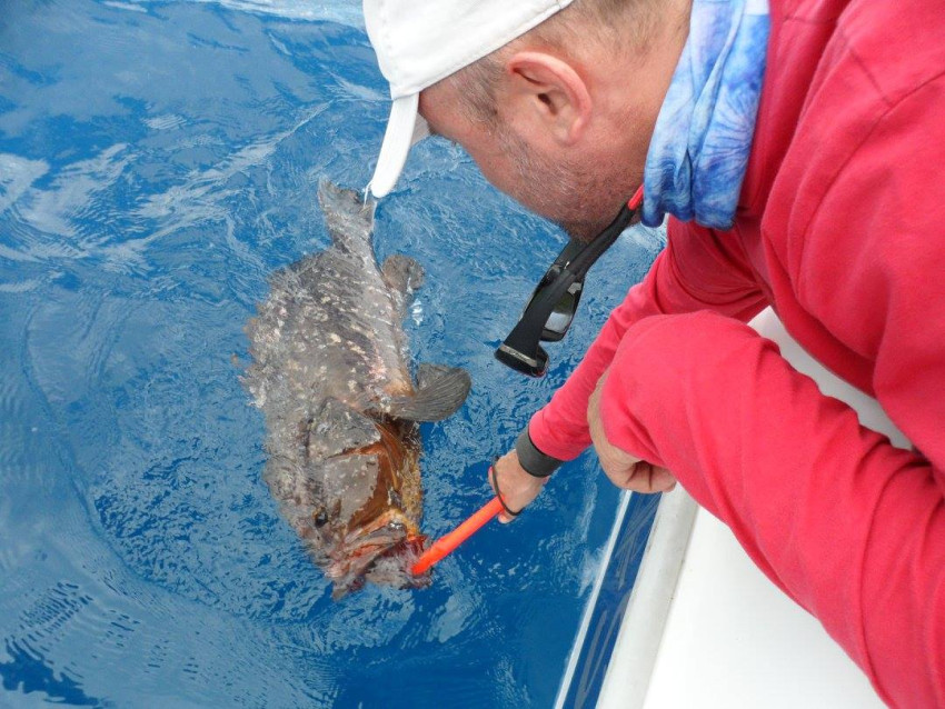 Pesca: Pesca Desportiva -Ilha das Flores