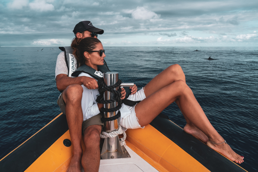 Whale and Dolphin Watching: Half day + Islet Boat Tour