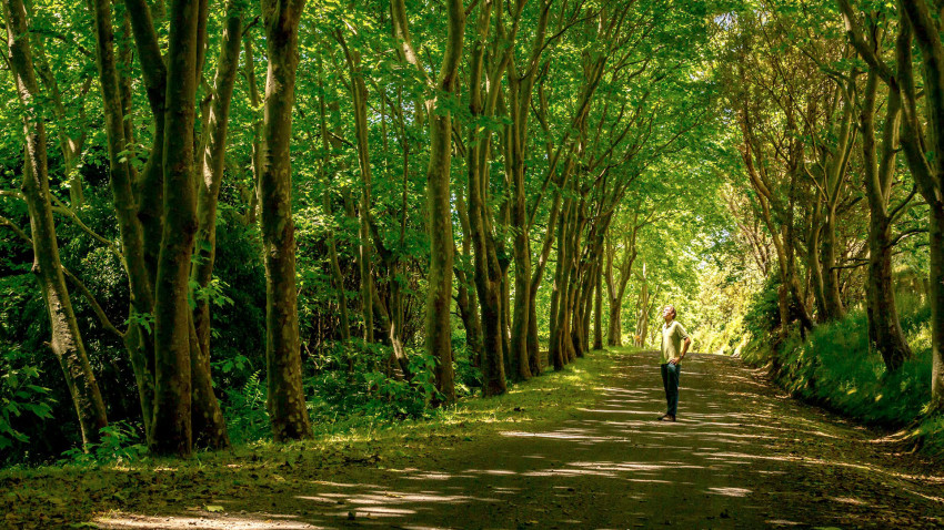 Passeios Temáticos: Volta à Ilha de Carrinha - Dia Inteiro