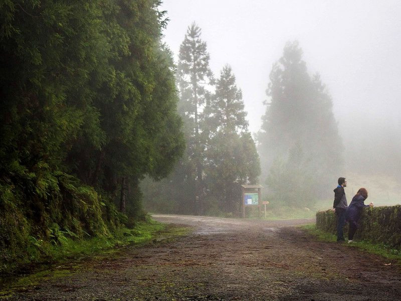 Passeios Temáticos: TRILHOS PEDESTRES