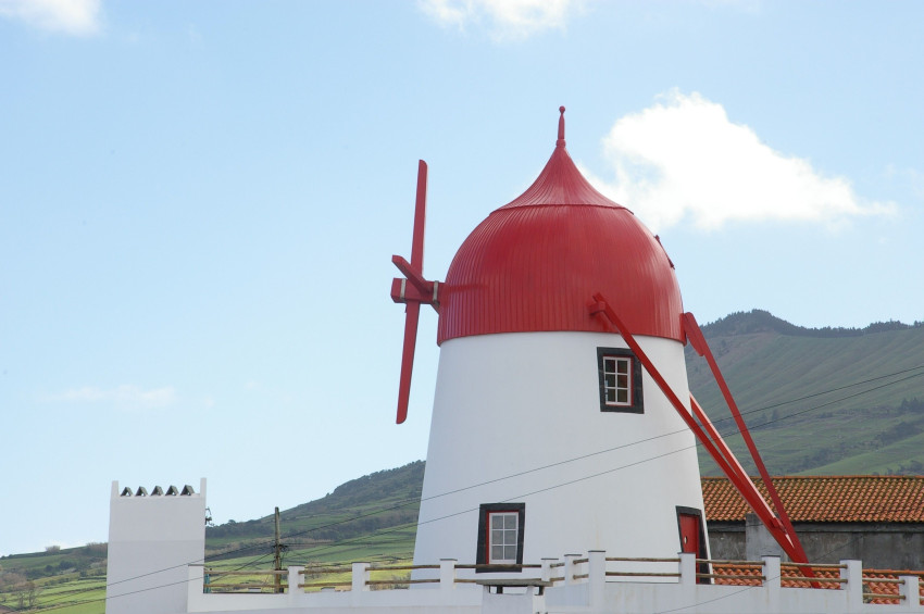 Passeios Temáticos: Passeio Personalizado - Meio Dia