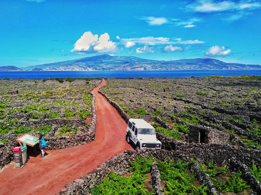 Passeio de Jeep: Rota da Vinha