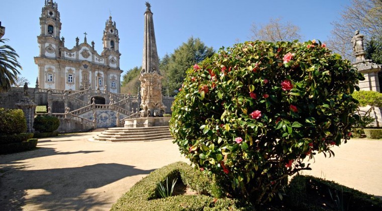 Sightseeing Tours : A day in Douro