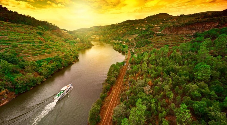 Sightseeing Tours : A day in Douro