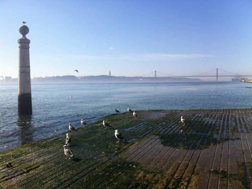 Walking Tours: Foodie Lisbon Walking Tour