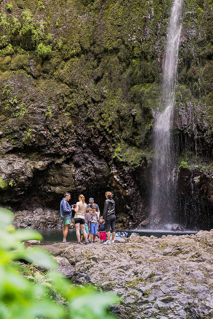 Hiking: Levada of Queimadas / Caldeirão Verde