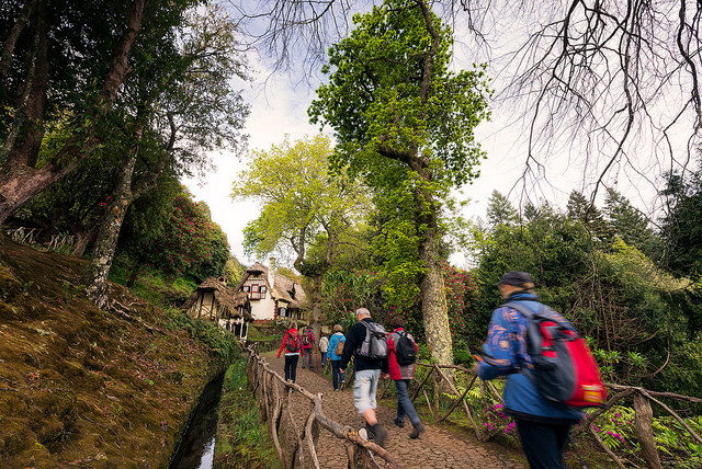 Hiking: Levada of Queimadas / Caldeirão Verde