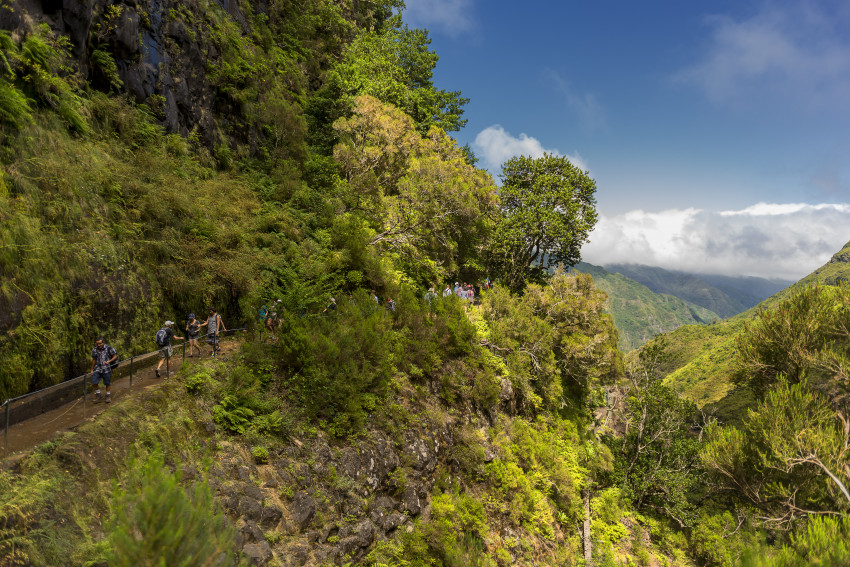 Hiking: Levada of Rabaçal / 25 Fontes