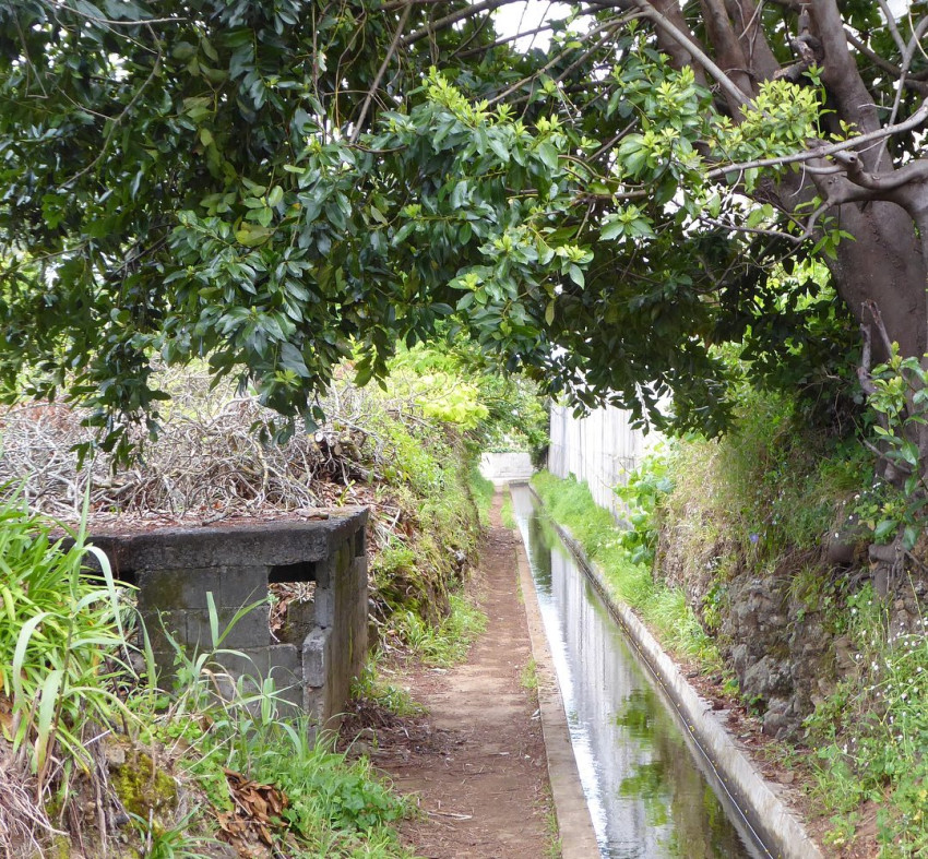 Trilho Pedestre: Levada dos Prazeres / Ponta do Pargo