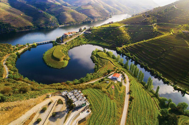 Cruises: Douro Adventure - Régua > Barca d'Alva > Régua | Upstream