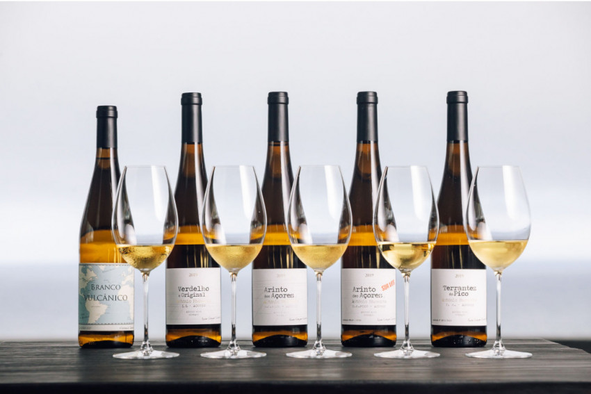 Wine Tasting: Crazy About Whites