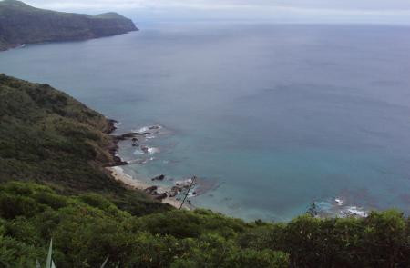 Passeio Pedestre: Trilho da Costa Sul - Meio Dia