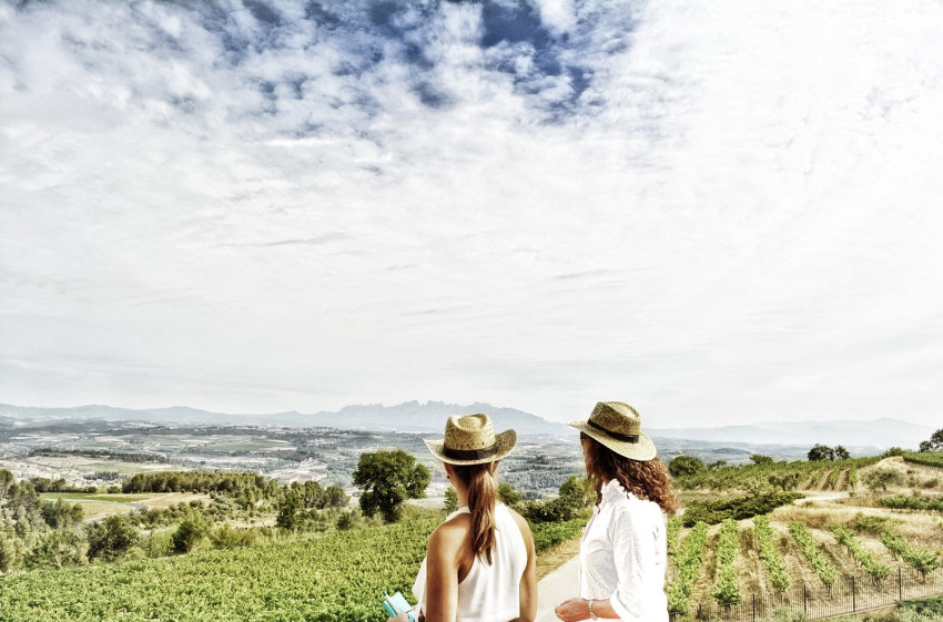 Sightseeing: Wine & Sparkling Wine Premium Tour