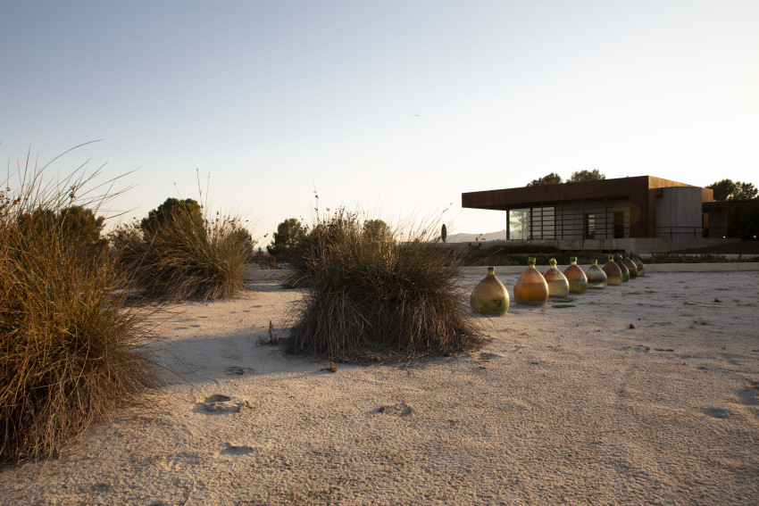 Food & Wine: Familia Torres Winery: Tapas Slow Food & Wine Experience