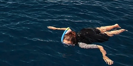 Snorkeling: Snorkeling Wildlife