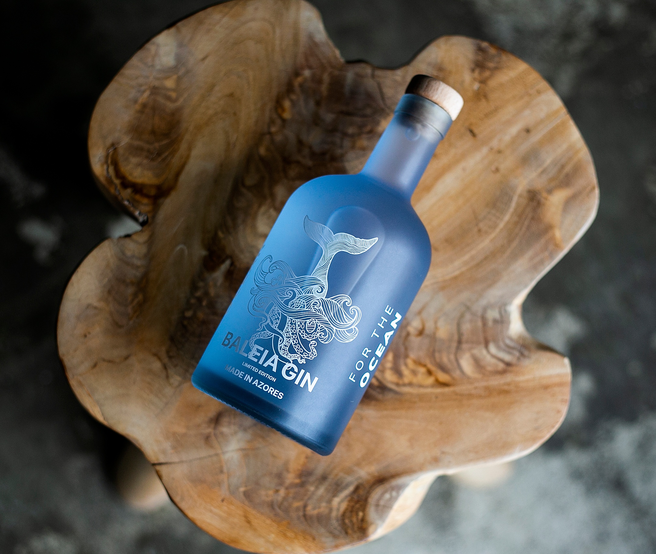 Gastronomia & Vinhos: Aprenda a fazer o Gin & Tonic perfeito