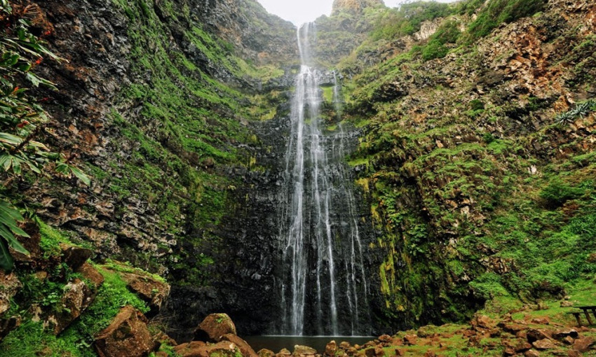 Passeio Turístico: Passeio de Dia Inteiro com Refeição Incluída