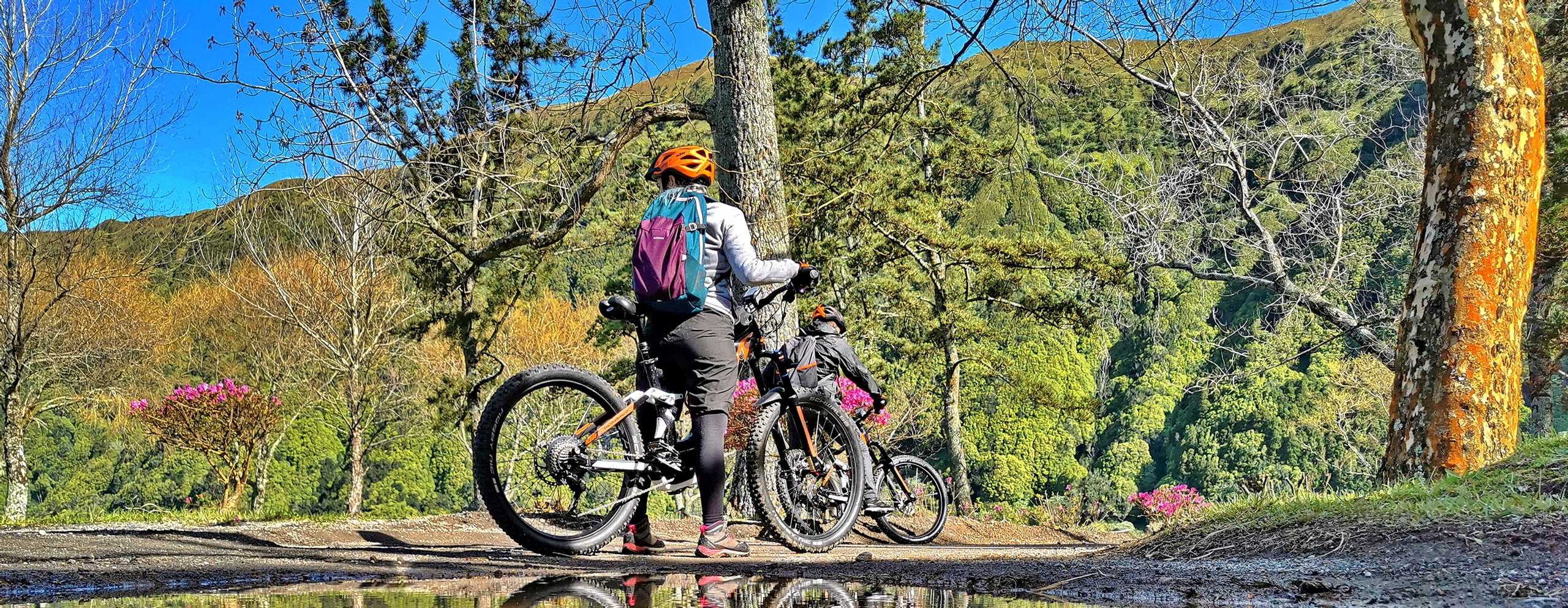 E-MTB: Sete Cidades (Half Day)