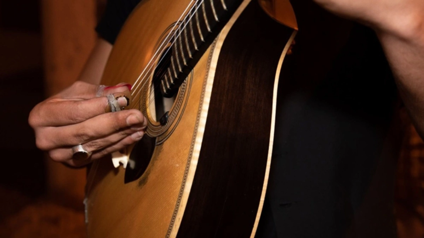 Small Group: Fado Dinner Show & Night Tour