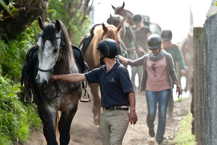 Horseback Riding: Lusitano Trail (beginner)