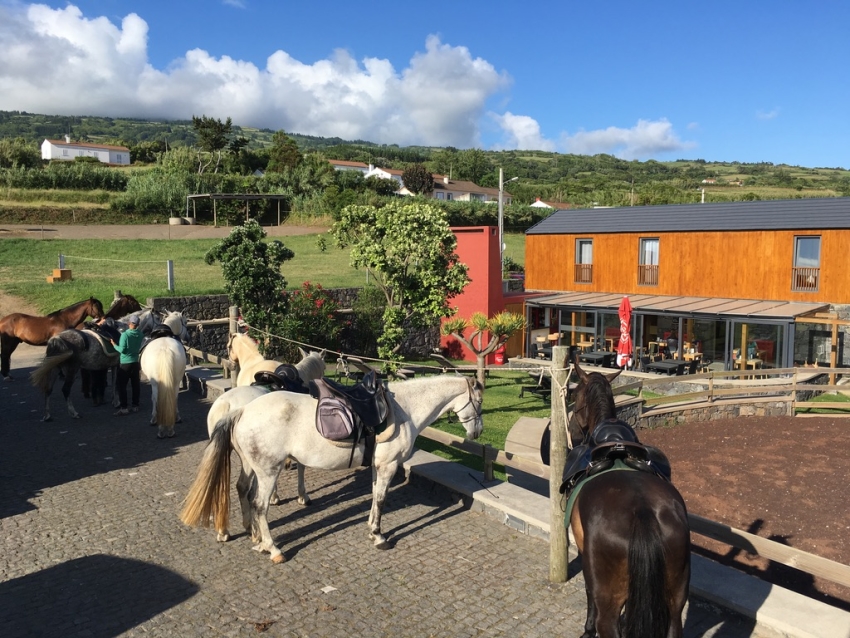 Passeios a cavalo: Passeio de um dia - Pátio Lodge & piquenique (avançado)