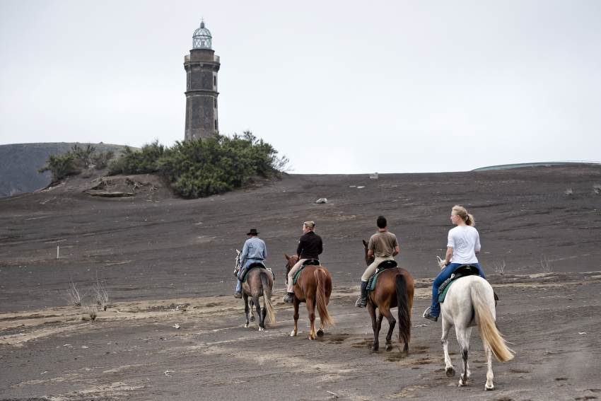 Passeios a cavalo: Passeio de um dia - Faial (avançado)