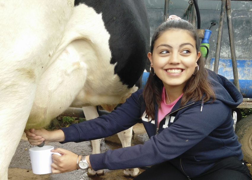 Thematic Tour: Escape to a Dairy Farm - Half-Day