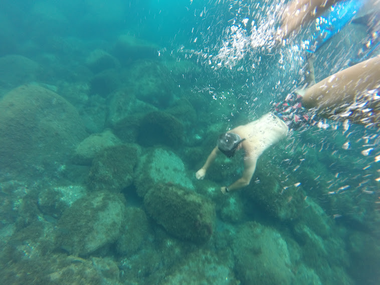 Passeio de Barco e Snorkel: Grutas da Urzelina & Barco Afundado nas Manadas