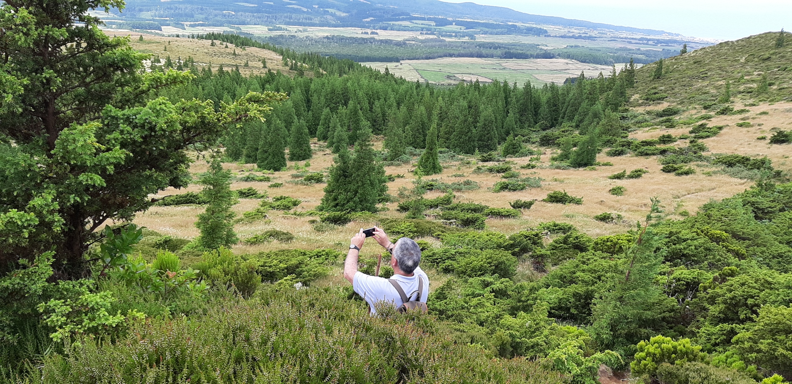 Hiking:  Rocha do Chambre