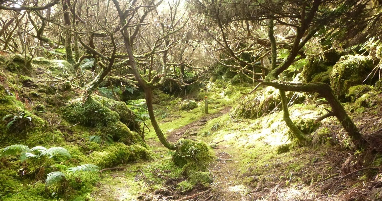 Hiking: Mistérios Negros