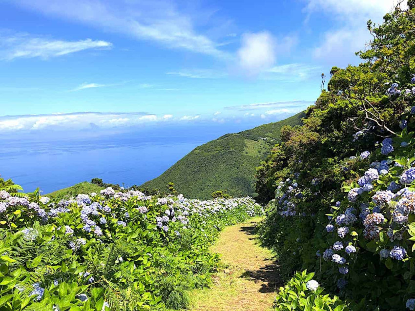 Trilho Pedestre: Serra do Topo / Fajã de Santo Cristo / Fajã dos Cubres com Piquenique