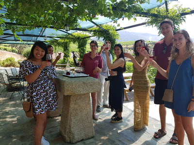 Van Tours: Douro Valley Wine Tour: Visit to Two Vineyards, Cruise and Lunch in Winery