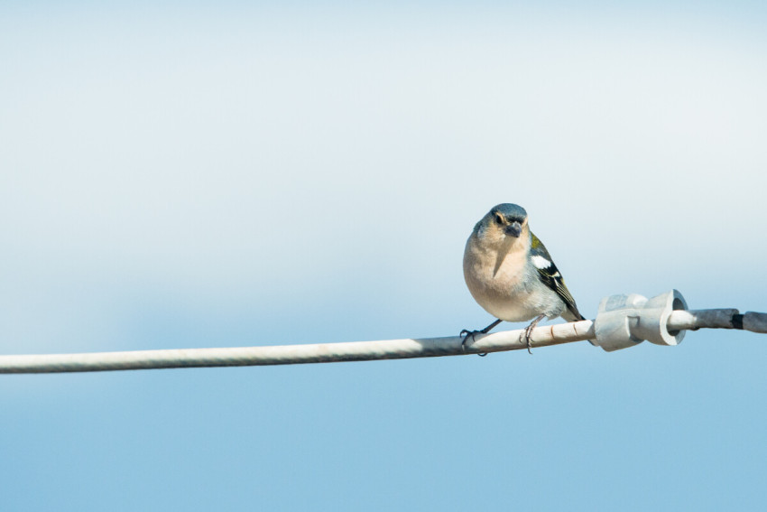 Percurso Terrestre: Pico do Areeiro / Pico Ruivo