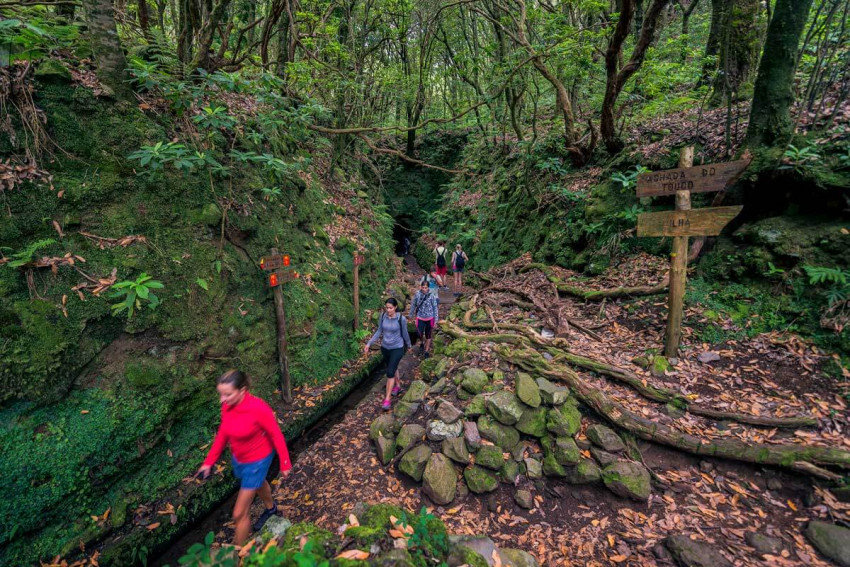 Hiking: Caldeirão Verde Levada Walk