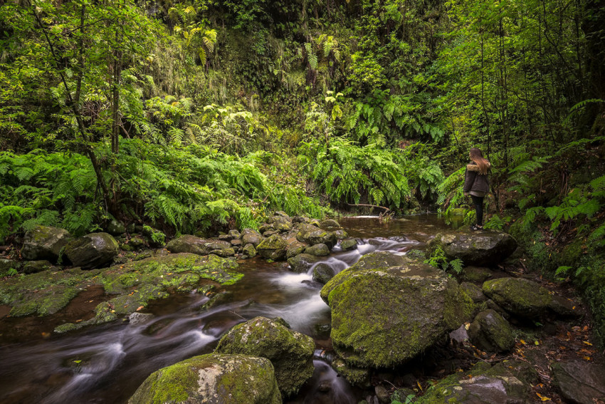 Hiking: Levada do Rei