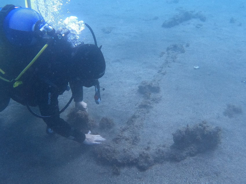 Mergulho: Fun Dives - 1 Mergulho