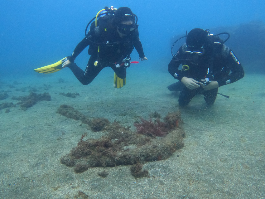 Mergulho: Fun Dives - 1 Mergulho