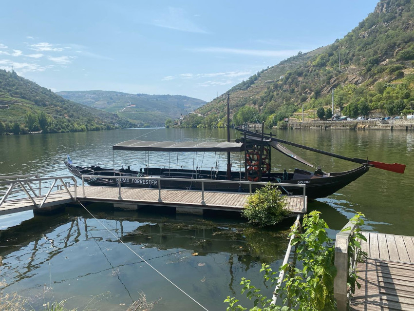 Boat Ride: From Pinhão to Romaneira (Roundtrip)