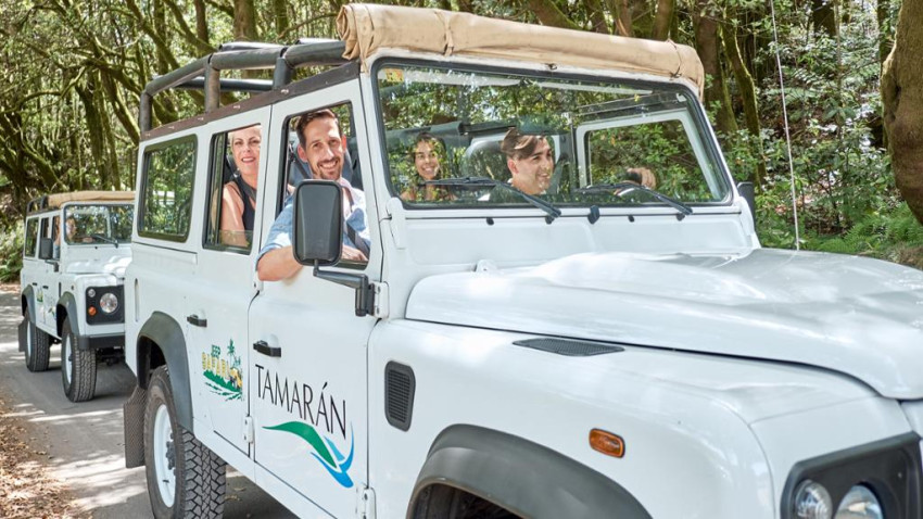 Land Tours: La Gomera Jeep Safari