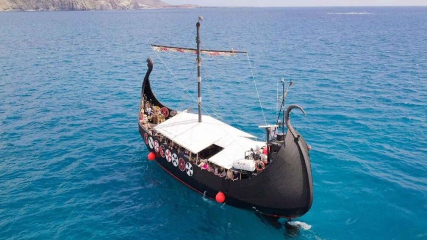 Boat Tours: Tenerife: Whales and Dolphin-Watching Viking Cruise
