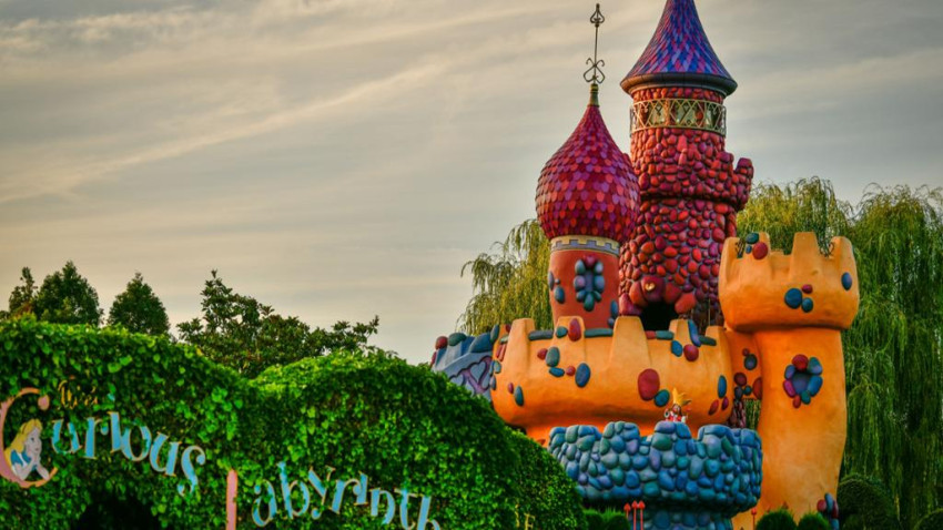 Ticket: Entry to Disneyland Parks