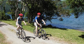 Mountain Bike Tours: Sete Cidades (Half-Day)