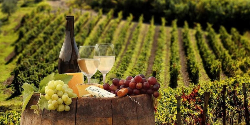 Food & Wine: Linguaglossa: Wine Tasting Experience at Etna Nord