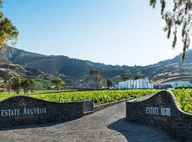 Food & Wine: The Sip of Santorini - Wine Sunset Tour