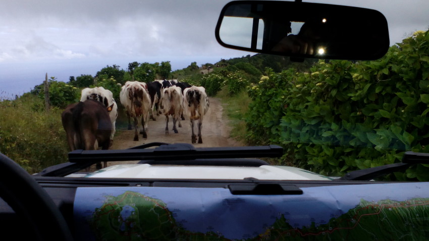 Jeep Tour: Full day Sete Cidades & Lagoa do Fogo