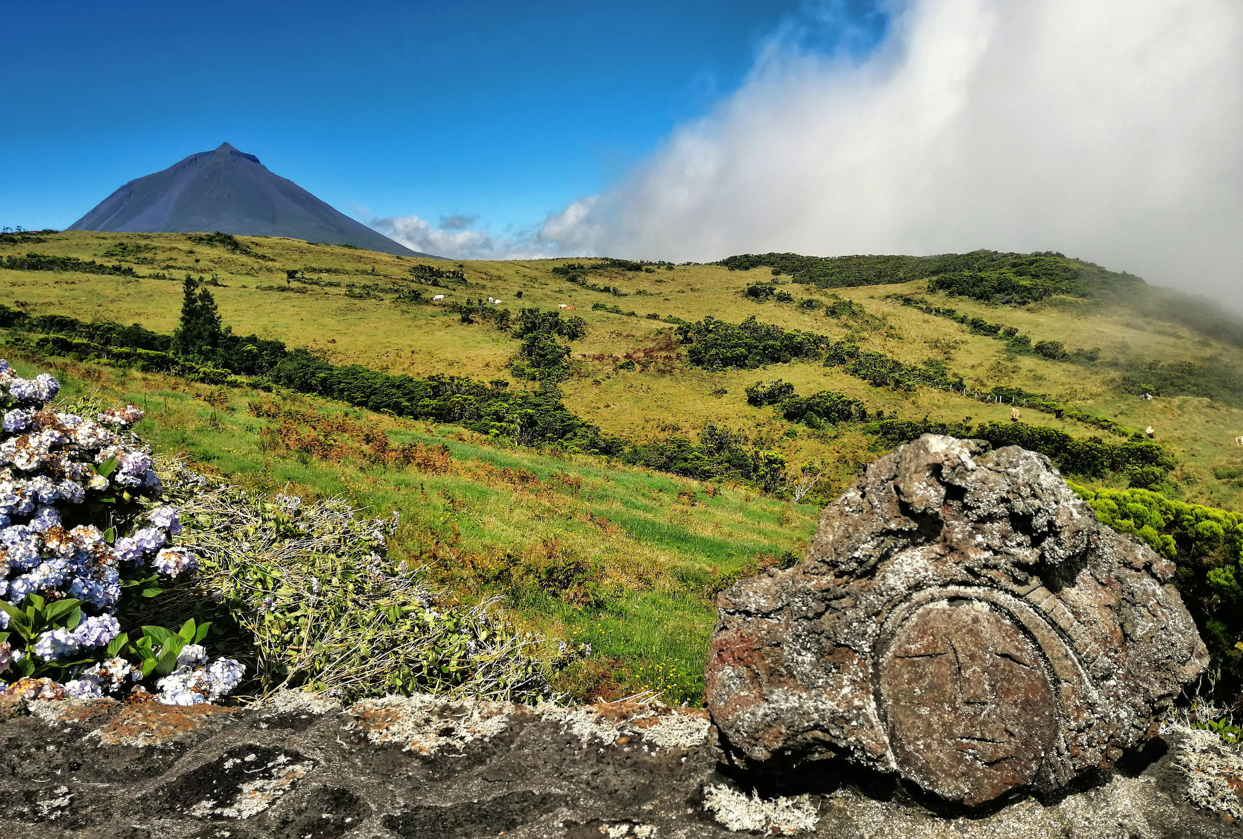Passeio de Carrinha: Volta à Ilha do Pico - Dia Inteiro com Almoço Incluído