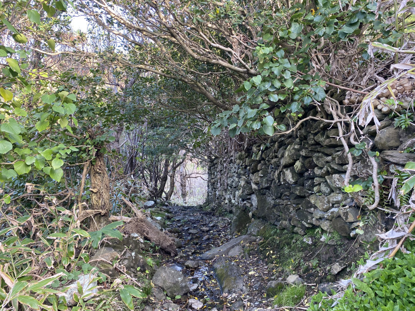 Trilhos Pedestres: Hiking Costa Oeste