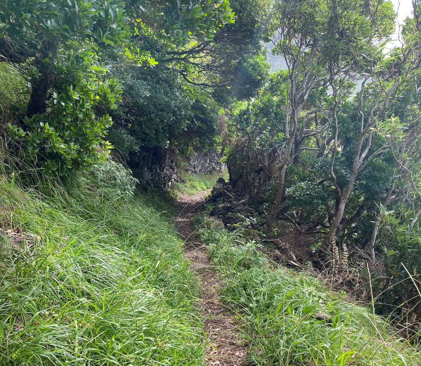 Trilhos Pedestres: De Norte a Oeste 