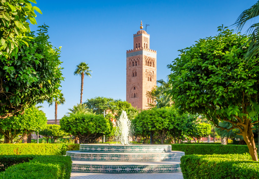 Thematic Tours: Marrakech: Private Guided Half-Day City Tour